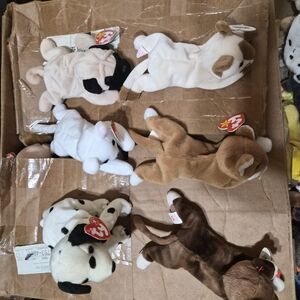 Ty Stuffed Animal Set - Cream, White, Brown, Black